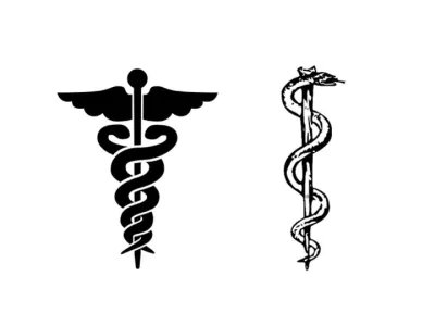 Medical School MD or DO